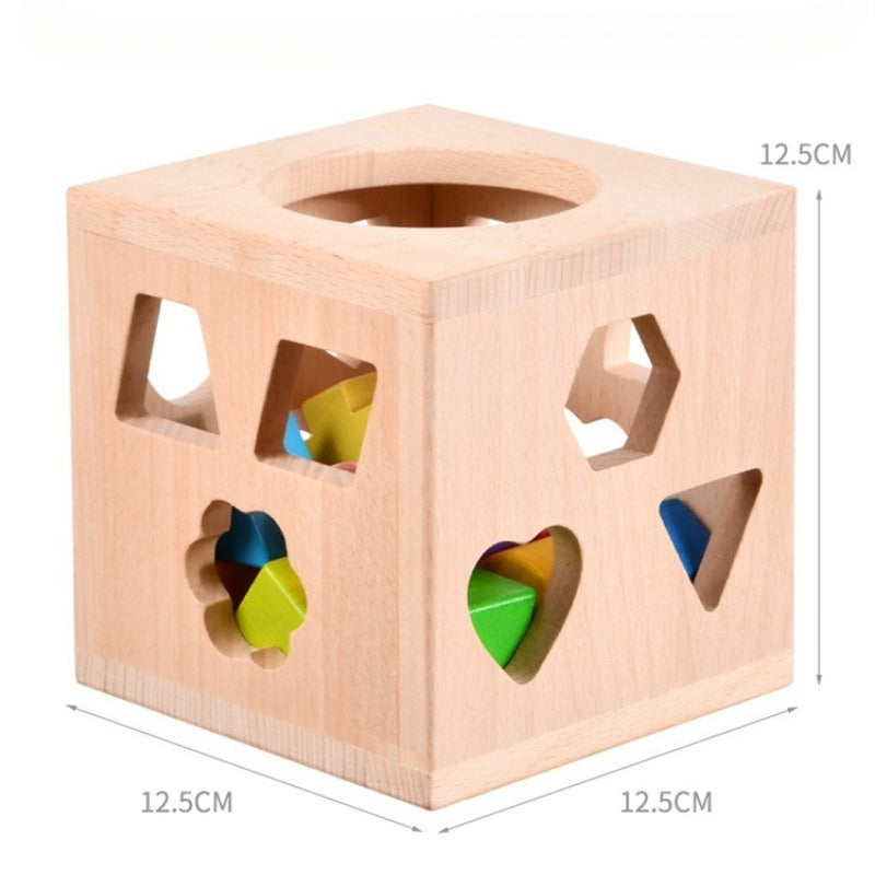 Montessori Shape Sorting Box with 12 Geometric Blocks
