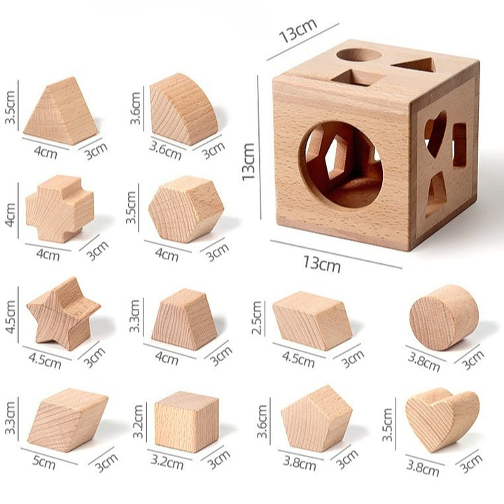 Montessori Shape Sorting Box with 12 Geometric Blocks