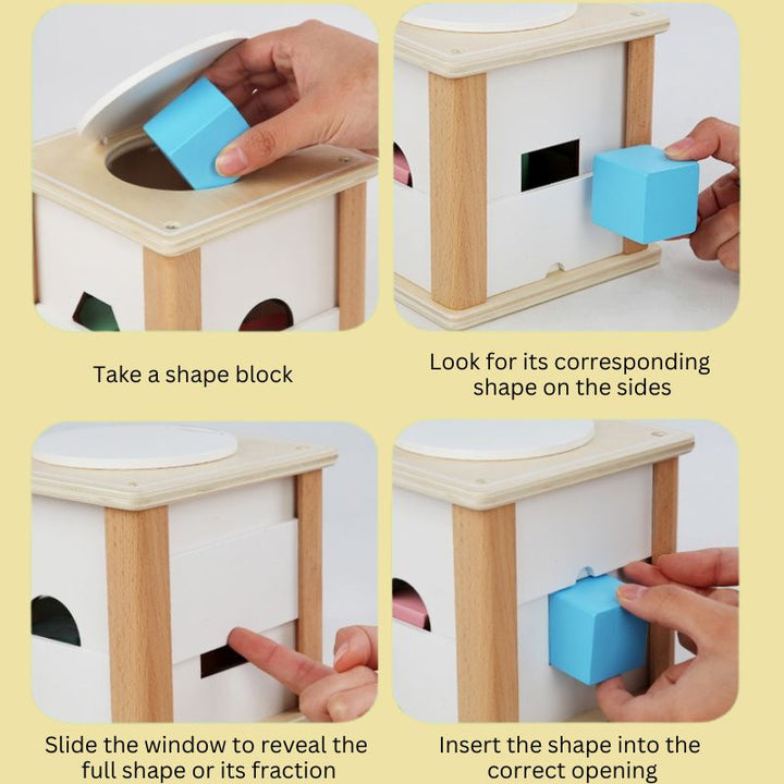 Shape and Fraction Intelligence Box