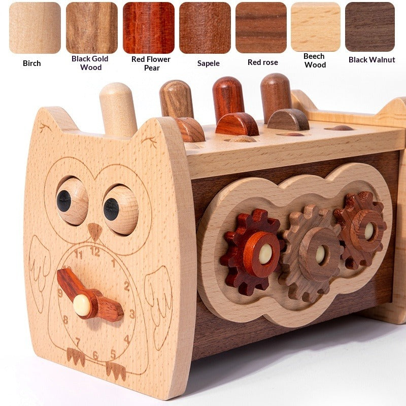 Montessori Activity Box Smart Owl