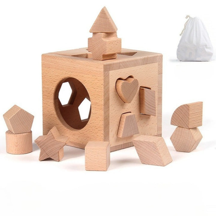 Montessori Shape Sorting Box with 12 Geometric Blocks