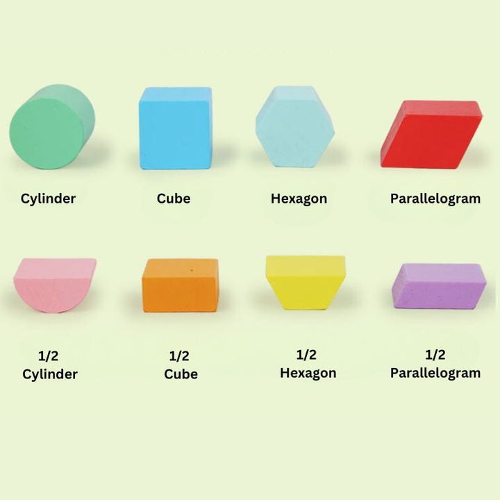 Shape and Fraction Intelligence Box