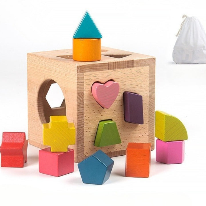 Montessori Shape Sorting Box with 12 Geometric Blocks