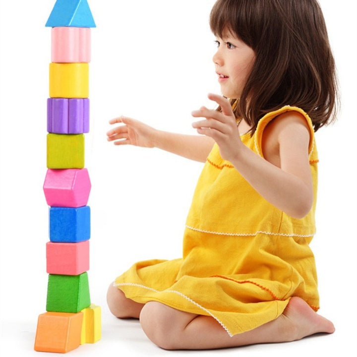 Montessori Shape Sorting Box with 12 Geometric Blocks