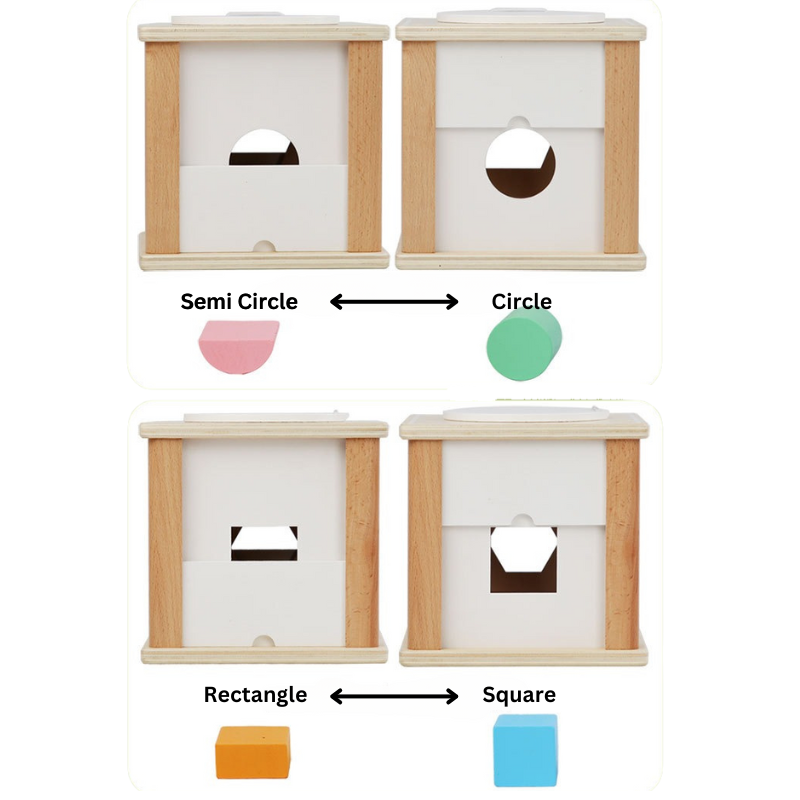 Shape and Fraction Intelligence Box