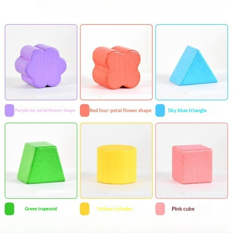 Montessori Shape Sorting Box with 12 Geometric Blocks