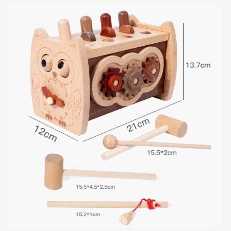 Montessori Activity Box Smart Owl