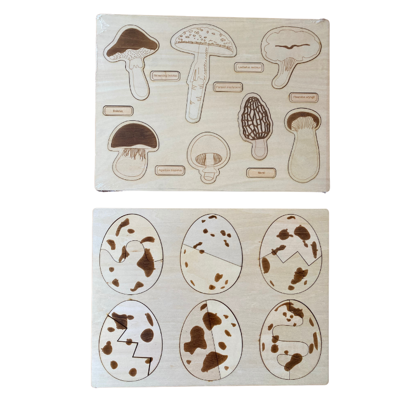 Dino Egg Delight/ Fun-gal Puzzle Boards