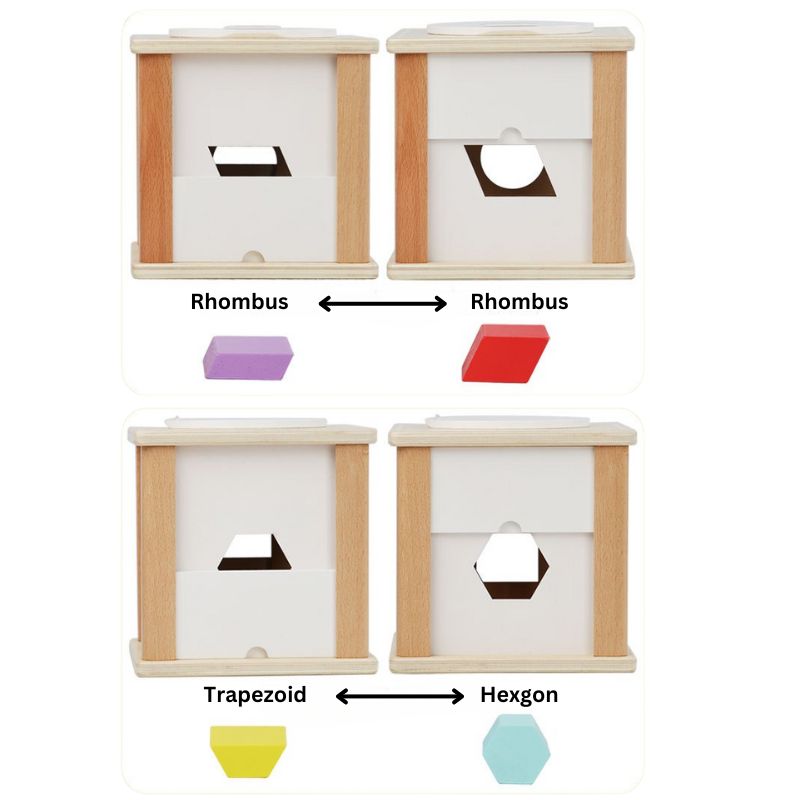 Shape and Fraction Intelligence Box