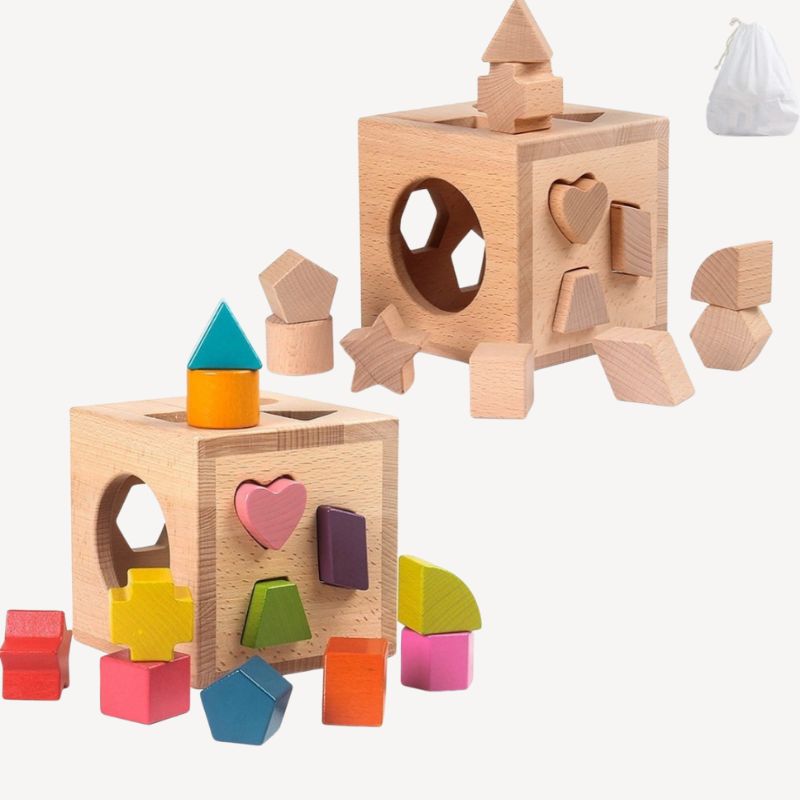 Montessori wooden shape sorting box with twelve geometric blocks for toddlers learning shapes and problem solving