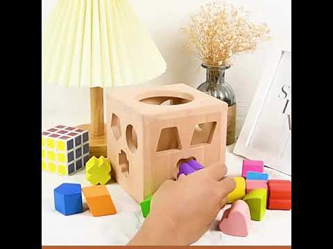 Montessori Shape Sorting Box with 12 Geometric Blocks