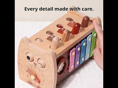 Montessori Activity Box Smart Owl