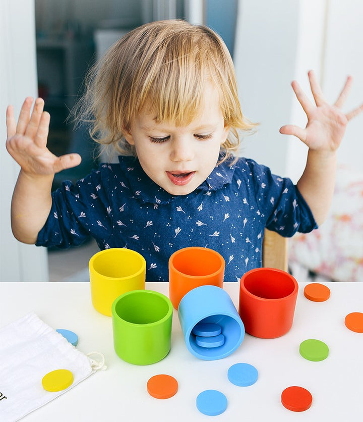 Colour Sorting Cups and Discs